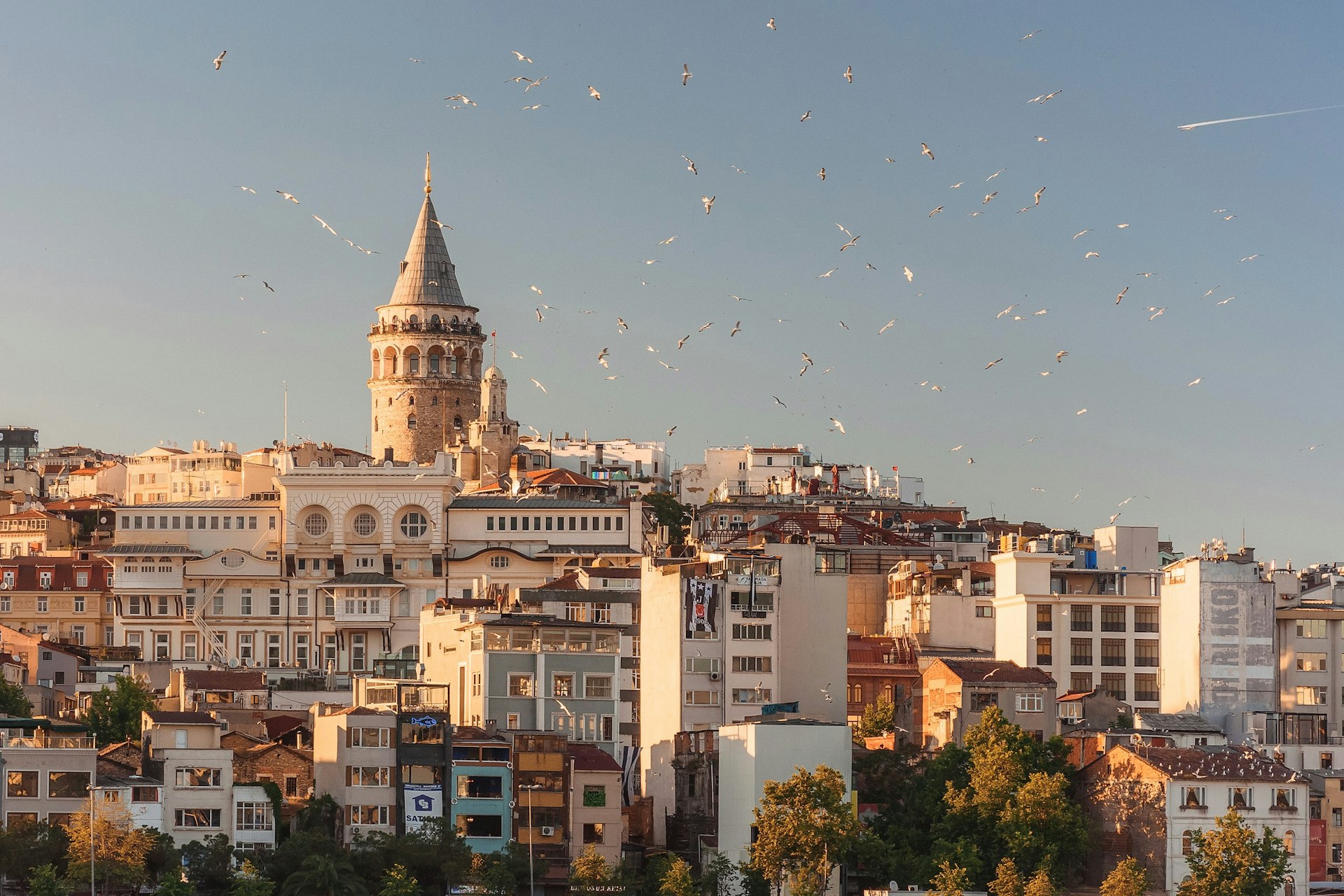 Rezervasyon